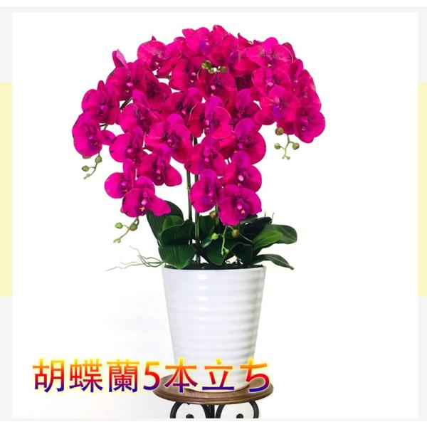 かわいい の胡蝶蘭 高級人工造花 光触媒 アーティフィシャルフラワー Ct触媒 ブラックピンク 5本立ち 年秋冬新作 の