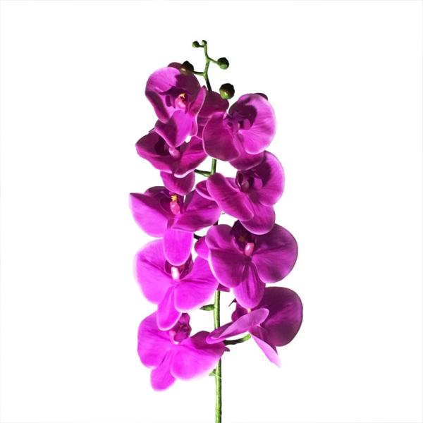 v[g  Mtg  Ӓ L95cm sN t[ A22 1{