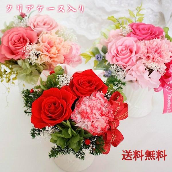 ギフト プリザーブドフラワー 送料無料 クリアケース入り マザーズカーネーション 誕生日プレゼント 結婚祝い 長寿祝い 還暦祝い お見舞い 手作り 花 Buyee Buyee 日本の通販商品 オークションの代理入札 代理購入