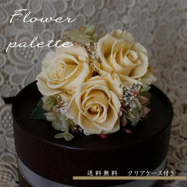 VIRփRT[W@o^[ XJb`@/@CG[@zCg NAP[X/@@tH[}@@@