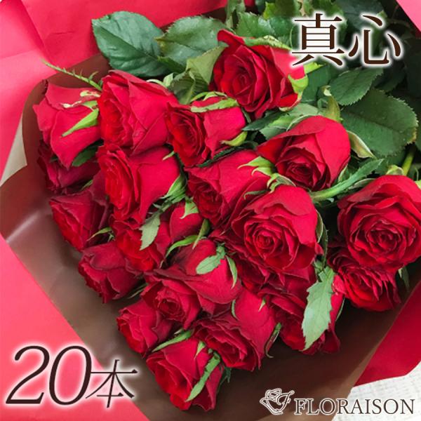 flowershop-floraison_10000753