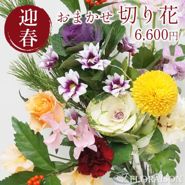 ■お正月限定お花の福袋 おまかせ切り花セット6000円お正月の飾りつけに、新年のあいさつの手土産に。おめでたい花材を使ったおまかせ切り花。入荷した新鮮なお花をお届けいたします。※13本のお花の種類はお任せとなります。記載している花が必ず入る...