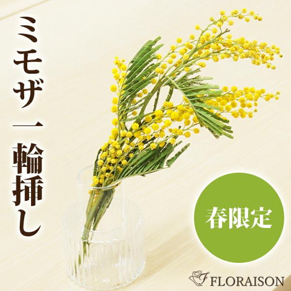※クリックポストでのお届けです。到着日、時間の指定はできません※3個以上、ご購入の場合は宅配便となり到着日の指定が可能です（お届け場所が一ヶ所の場合のみ）※2/16〜3/14までの発送、数量限定の為、予告なく終了する場合があります■ギフト対...