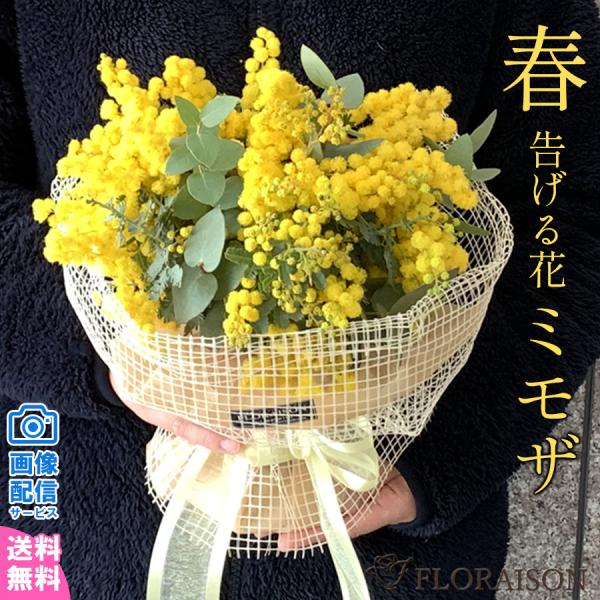 ※2/17〜3/15までの発送です。数量限定の為、予告なく終了する場合があります。■ギフト対応春の花 春を告げる花「ミモザ」 ミモザのスタンディングブーケ明るいイエローと小花が可愛らしい、季節限定の花束。花瓶いらず、そのまま飾れる花束です。...