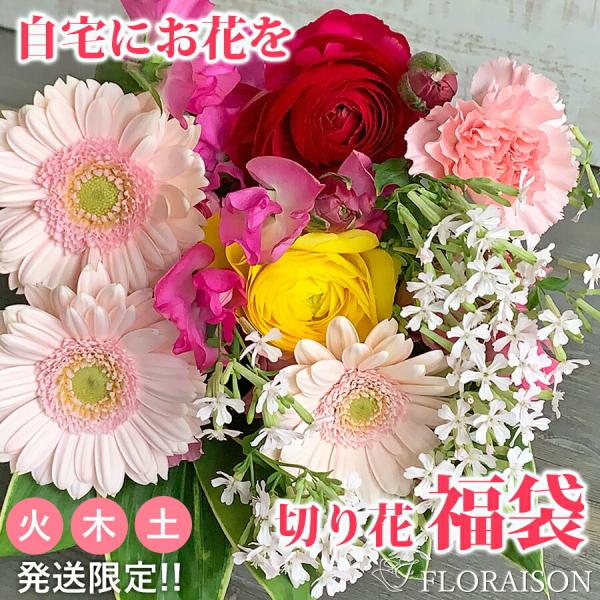 ※5月中旬〜9月まで生花商品はクール便料金を頂戴します（商品代込）■火・木・土発送限定のお花おまかせ！切り花の福袋お花のある生活、始めませんか？お花をご自宅でも楽しんでいただけたら嬉しいなあと、季節の入荷したお花をお得にお届けする企画をいた...