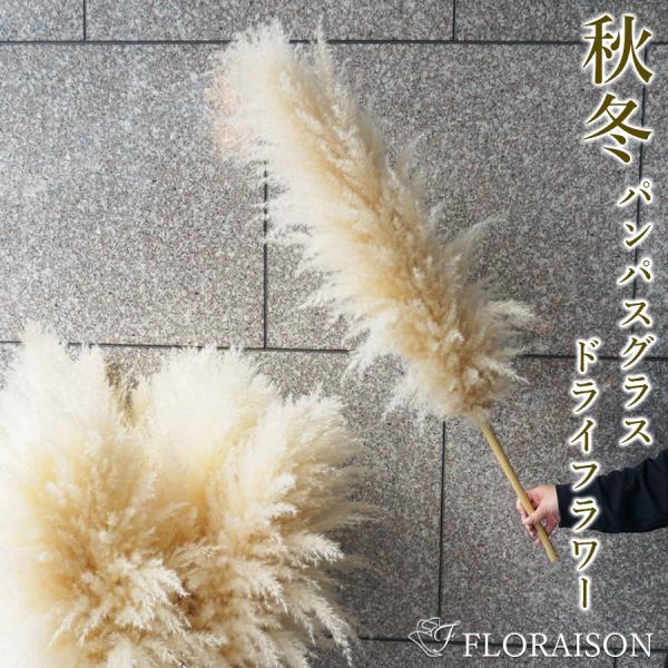 flowershop-floraison_kiri-pnps