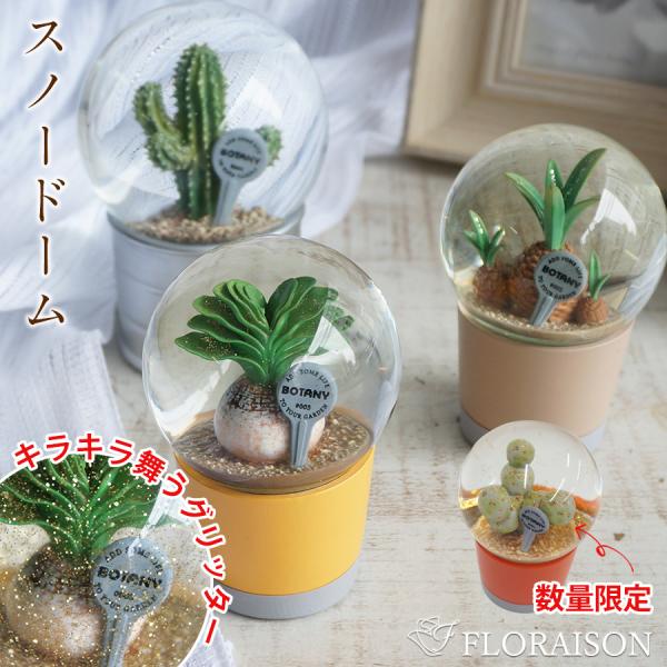 スノーボール ウォーターグローブ ミニチュア 多肉植物 サボテン 観葉