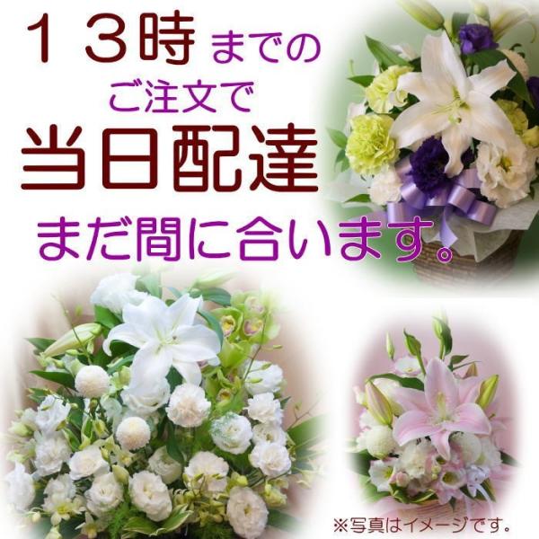 お悔やみ お供え 葬儀 法事 枕花 命日 ペットのお供え花 全国の加盟店イーフローラでお届け 花 今日届く花 即日 当日 Buyee Buyee Japanese Proxy Service Buy From Japan Bot Online