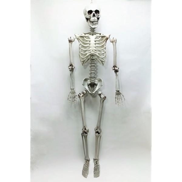 等身大 骸骨 がいこつ : LUNACOCO - 通販 - Yahoo!ショッピング 超