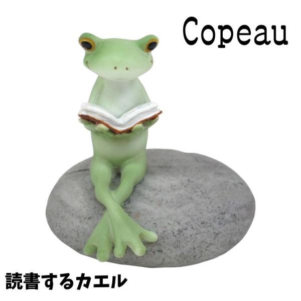 Copeau コポー 読書するカエル