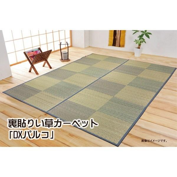 IKEHIKO CPqR Y  Ԃ J[ybg DX pR ]ˊ8 348×352cm