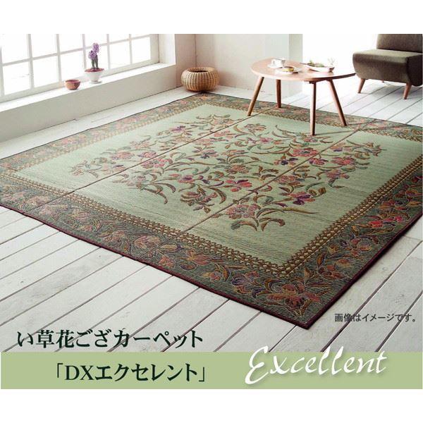 IKEHIKO CPqR Y  Ԃ J[ybg DX GNZg ]ˊ6 261×352cm