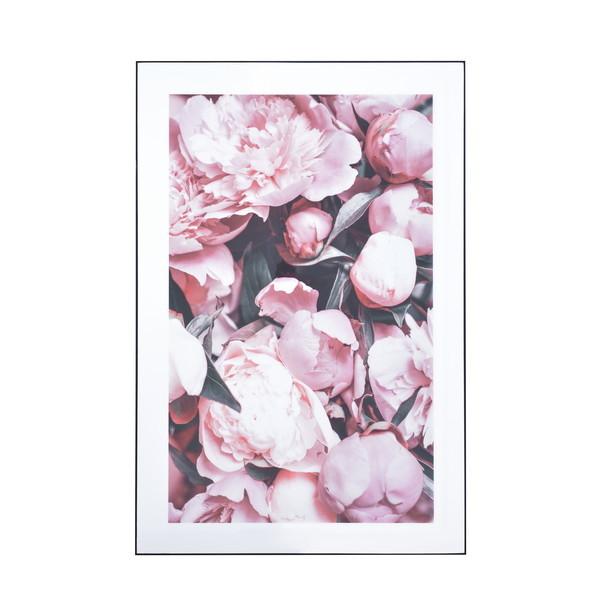 JL AZUMAYA A[gpl F80×sF4×120cm ART-200 C ART-200C