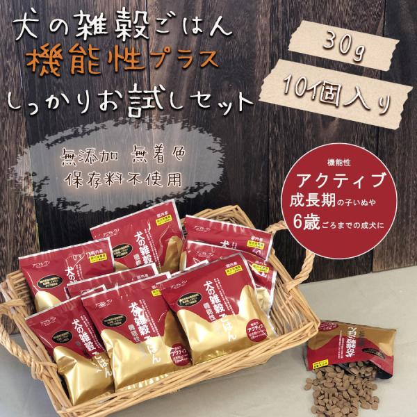 ドッグフード 無添加 国産 犬の雑穀ごはんお試し機能性アクティブ チキン 30gx10個 ペットフード アニマル ワン アレルギー対応 T56pfpx10 ずっと元気 犬 猫のための Fluffi 通販 Yahoo ショッピング