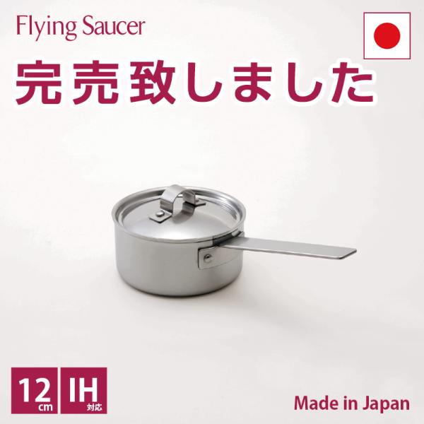 flyingsaucer_10002781