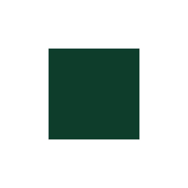  RML80 I[uO[() frhNIX C120