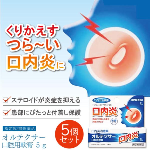 【指定第2類医薬品】オルテクサー口腔用軟膏 5g×5セット 口内炎 軟膏 薬