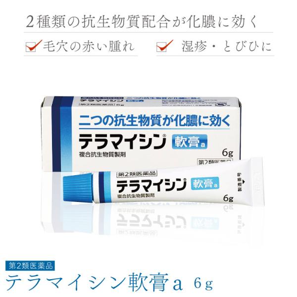 【第2類医薬品】テラマイシン軟膏a 6g 化膿止め 抗生物質 軟膏 やけど 火傷 塗り薬 化膿 薬 とびひ めんちょう 毛のう炎