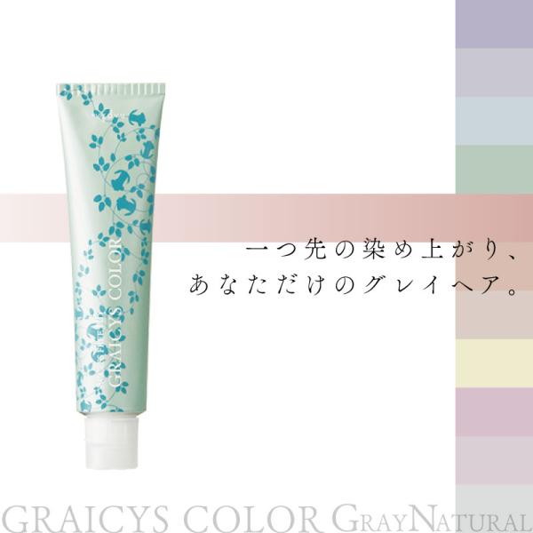 ナプラ グレイシスカラー アクセスフリー HB 80g GN3 美容室専売 美容院 サロン専売品 医薬部外品 グレイヘア 白髪染め グレイカラー
