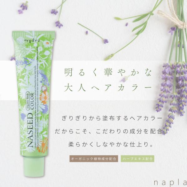 ナプラ ナシードカラー グレイファッション N-3NB【ナチュラルブラウン】 80g 医薬部外品 グレイヘア 白髪染め グレイカラー グレイヘア ヘアカラー 業務用カラ