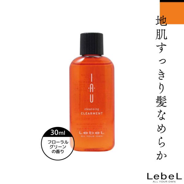 ルベル イオ クレンジング クリアメント 30ml シャンプー お試し ルベル シャンプー 旅行用 シャンプー トライアル シャンプー  美容室専売 美容院 サロン専売品