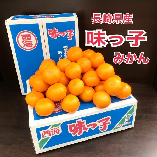 [Release date: December 10, 2025]●味っ子みかん 5kg入り 赤丸秀品●L〜S玉●ＪＡながさき西海 (長崎県 佐世保市)●光センサー選別で糖度13度以上保証品●40玉〜55玉前後入り※サイズの御指定はご遠慮く...