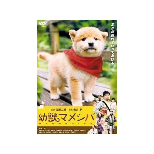focusone_3332-21