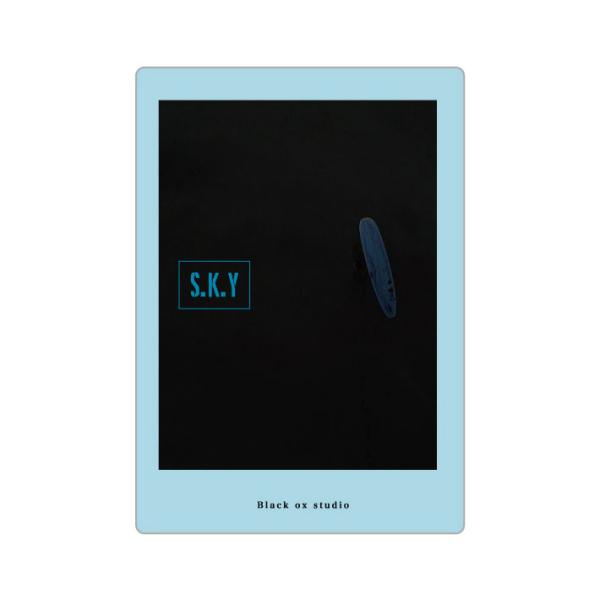 SURF DVDS.K.Yby Black Ox studioRISEやSinistralを手がけたBlack Ox studioから新作「S.K.Y」が登場。昨年末、千葉の御宿で開催されたTRUMP 御宿プロ。フリーサーフィンや大会を空撮...