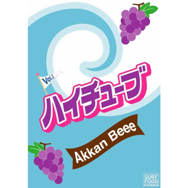 サーフィン dvd ハイチューブ Vol.3 HIGH TUBE 最終回 Akkan Beee あっかんべぇー ジョンジョン SURF