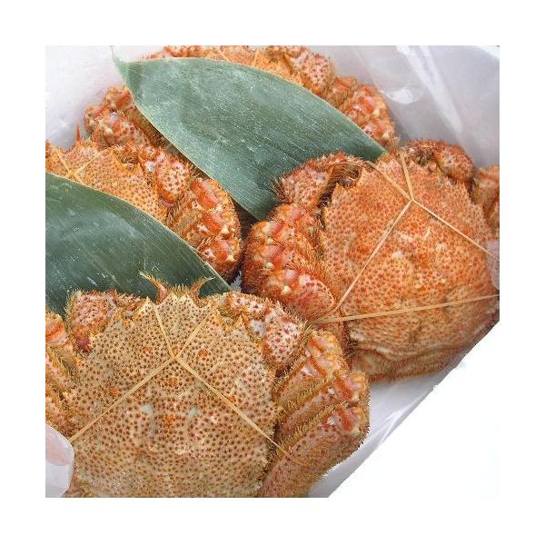 kCYуKjiP380g`400gjyCyC10ΏۊO