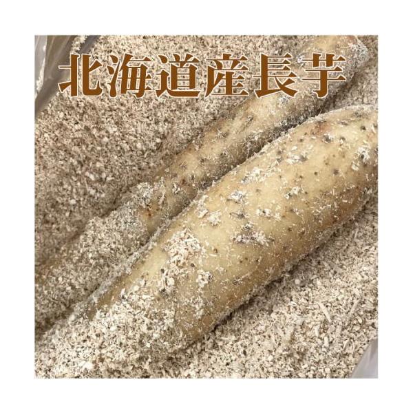 イモ類 長いも 10kg」の人気商品一覧 | 安い商品を通販サイト