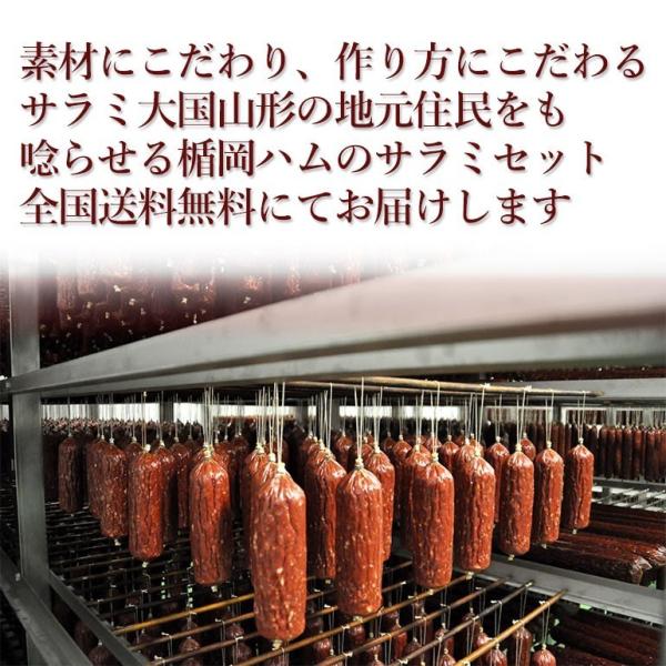サラミ3点セット カルパスとジャーキーのお買い得セット おつまみ ビールのお供 駄菓子 ポイント消化 送料無 メール便 楯岡ハム 山形 /【Buyee】 サラミ3点セット カルパスとジャーキーのお買い得セット おつまみ ビールのお供 駄菓子 ポイント消化 送料無 メール便 楯岡ハム 山形 /【Buyee】