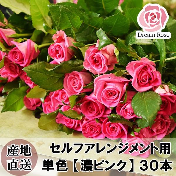 バラ 薔薇 生花 セルフアレンジメント用 バラ 濃いピンク 単色 30本 ダークピンク 切花 新鮮なバラを産地直送 ドリームローズ Rose30 Dpink あがっしゃい総本舗 通販 Yahoo ショッピング