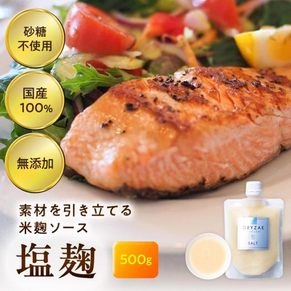 オリゼ 塩麹 500g 無農薬 無添加 発酵調味料 発酵甘味料 無農薬 低カロリー 乳児用規格適用商品 腸活 ダイエット 爆買 ポイント消化