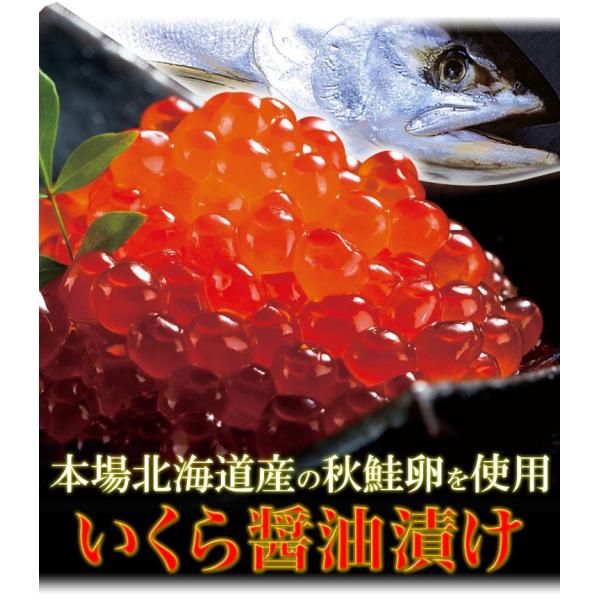 北海道産 シャケ いくら 500ｇ 醤油漬け 鮭 サケ 卵 イクラ丼 海鮮丼 Buyee Buyee Japanese Proxy Service Buy From Japan Bot Online