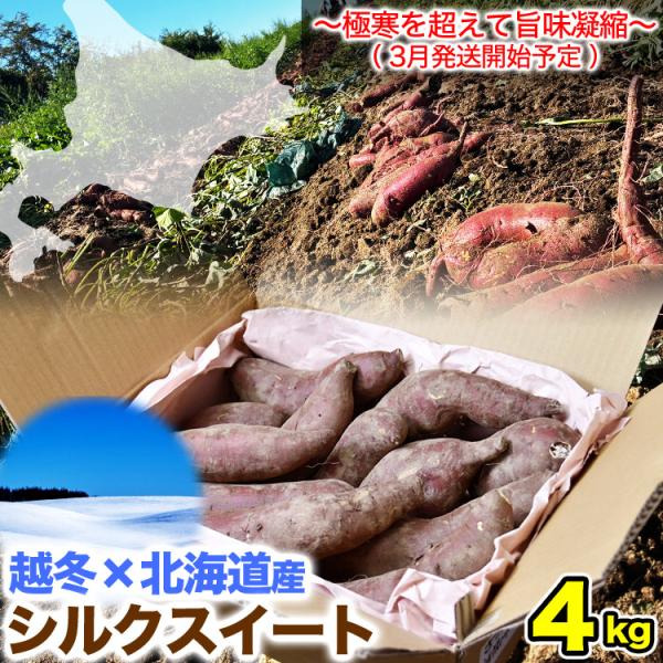 [Release date: March 15, 2026]■名称さつまいも（シルクスイート）■内容量4kg前後■保存方法湿気のない風通しのよい冷暗所で保存してください■発送温度帯常温■同一梱包発送この商品同士のみ可能■販売者株式会社　丸源...