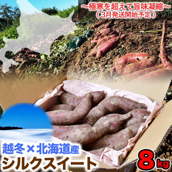 [Release date: March 15, 2026]■名称さつまいも（シルクスイート）■内容量8kg前後■保存方法湿気のない風通しのよい冷暗所で保存してください■発送温度帯常温■同一梱包発送この商品同士のみ可能■販売者株式会社　丸源...