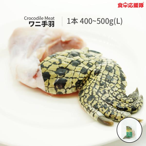 ■商品名: ワニ肉 手羽■内容量: Lサイズ 1本 (400~500g)■生産国: オーストラリア■賞味期限:商品の発送時点で残り180日以上の商品をお届けします。■保存方法: 冷凍庫で保存■広告文責: 広告文責：株式会社コトラトレーディン...