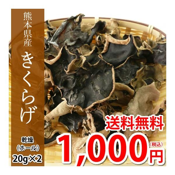 ■名称きくらげ■内容量 ホール計40g（20g×2袋) ■保存方法 直射日光、高温多湿を避けて保存。水もどし後は、密閉容器に入れて10℃以下の冷蔵庫で保管し、なるべくお早めにお使いください。■配送方法ネコポスでお届けさせて頂きます。※配送会...