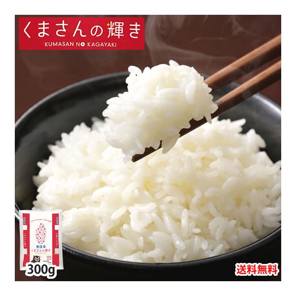 【無洗米300g】くまさんの輝き 送料無料 お試し 令和7年産 熊本県産 お米 白米 玄米 コシヒカリ ヒノヒカリ 森のくまさん