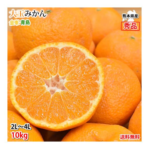 大玉みかん 10kg 2L〜4L 秀品 金峯 青島 みかん 送料無料 温州 大玉みかん 10kg 2L〜4L 秀品 金峯 青島 みかん 送料無料 温州