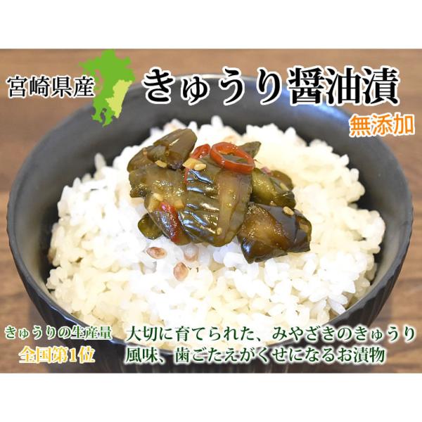 漬物 きざみきゅうり漬け 150g 4袋 送料無料 ポイント消化 宮崎県産 きゅうり つけもの Buyee Buyee Japanese Proxy Service Buy From Japan Bot Online