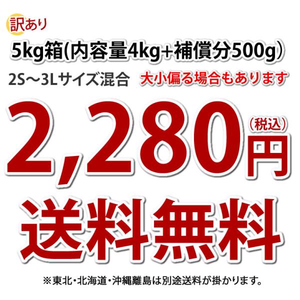 ܂ g͂邩 󂠂 5kg ie4kg{⏞500g)  ׂɂ͂邩 F{Y Tc}C g   i摜2