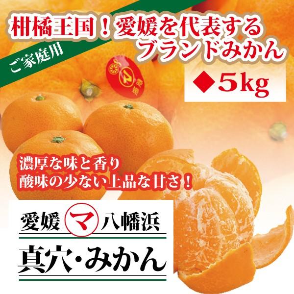 数量限定 愛媛 真穴みかん 規格外 5kg 大きさおまかせ 訳あり 数量限定 愛媛 真穴みかん 規格外 5kg 大きさおまかせ 訳あり