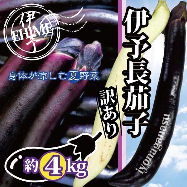 なす ナス 長なす 伊予長茄子 訳あり 愛媛産 送料無料 約4kg ご家庭用