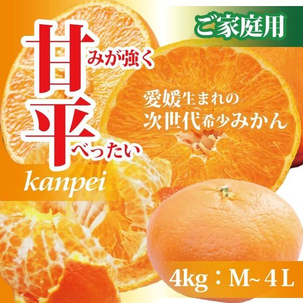 みかん 甘平 愛媛県産 かんぺい 送料無料 訳あり ご家庭用 4kg みかん 甘平 愛媛県産 かんぺい 送料無料 訳あり ご家庭用 4kg