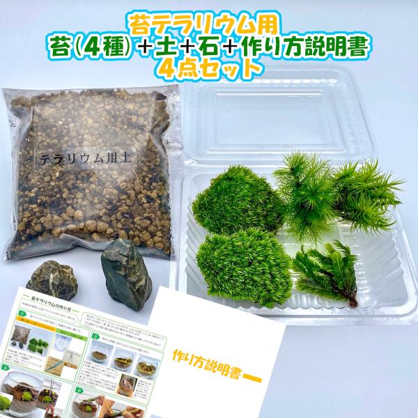 苔テラリウム 4点セット 苔パック 土 石 作り方説明書 手作り 自作 テラリウム アクアリウム 盆栽 観葉植物 苔 コケ パック キット セット メンテナンス Tera Inside 001 フォレストジャパン 通販 Yahoo ショッピング