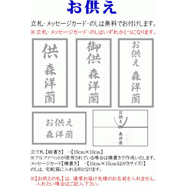 激安正規品超安値 の胡蝶蘭 開店祝い 開業祝い 大輪 鉢花 白 3本立ち 24 27輪 ギフト お祝い お祝い 移転祝い 開業祝い 誕生日祝い 就任 祝い 退職 還暦 お供え 命日 胡蝶蘭専門店フォレストナーサリー 特別価格激安セール の