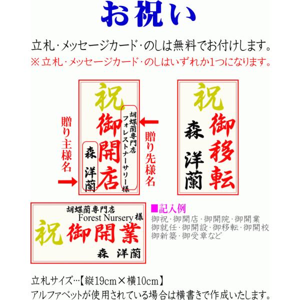 胡蝶蘭 開店祝い 大輪 白 5本立ち 45 50輪 お祝い ギフト 移転祝い 開業祝い 誕生日祝い 就任祝い 退職祝い 還暦祝い 胡蝶蘭 Buyee Buyee Japanese Proxy Service Buy From Japan Bot Online