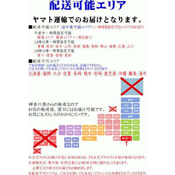 胡蝶蘭 開店祝い 白 3本立ち 24 27輪 開店祝い お祝い ギフト 移転祝い 開業祝い 誕生日祝い 就任祝い 退職祝い 還暦祝い 胡蝶蘭 胡蝶蘭専門店フォレストナーサリー 通販 Yahoo ショッピング
